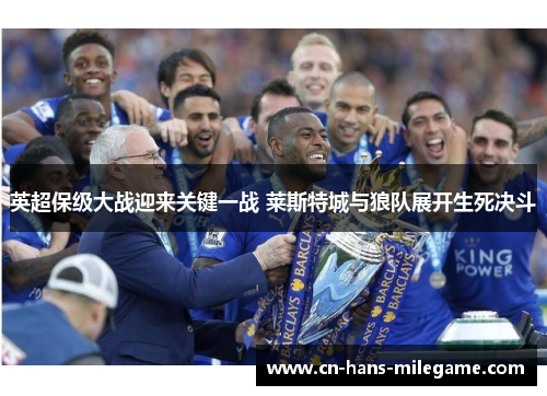 英超保级大战迎来关键一战 莱斯特城与狼队展开生死决斗 英超保级大战迎来关键一战 莱斯特城与狼队展开生死决斗